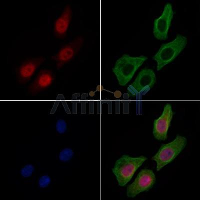 Валидация Affinity AF6457 - 3778