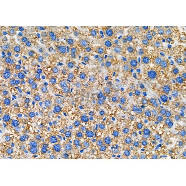 Валидация Affinity DF7313 - 19003