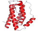 Interleukin 6 (IL6) Interleukin 6 (IL6)