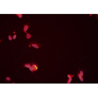 Валидация Affinity DF6439 - 17816