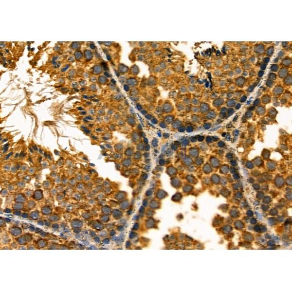 Валидация Affinity DF7017 - 18654