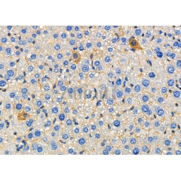 Валидация Affinity DF3668 - 14672