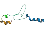 Cadherin, Retinal (RCAD) Cadherin, Retinal (RCAD)