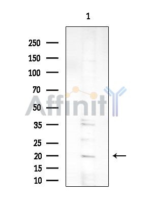 Валидация Affinity DF14629 - 10659