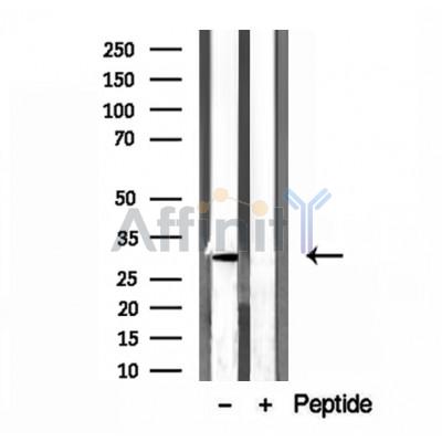 Валидация Affinity DF12117 - 6257