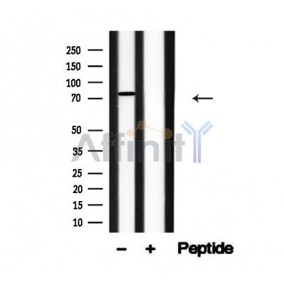 Валидация Affinity AF4758 - 2376