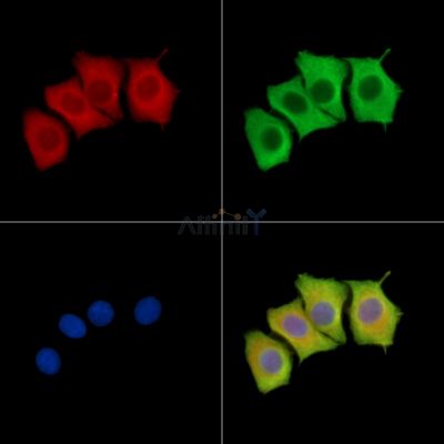 Валидация Affinity DF16100 - 12676