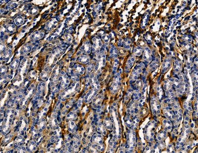 Валидация Affinity DF13806 - 9486