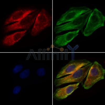 Валидация Affinity DF7390 - 19119