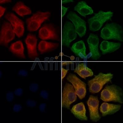 Валидация Affinity DF12529 - 7130