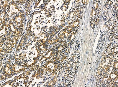 Валидация Affinity DF13954 - 9701