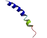 G Protein Coupled Receptor 55 (GPR55) G Protein Coupled Receptor 55 (GPR55)