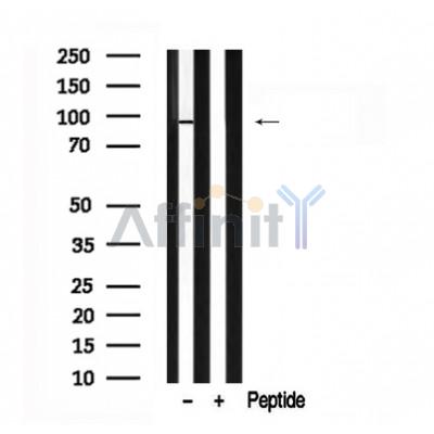 Валидация Affinity AF7607 - 4277