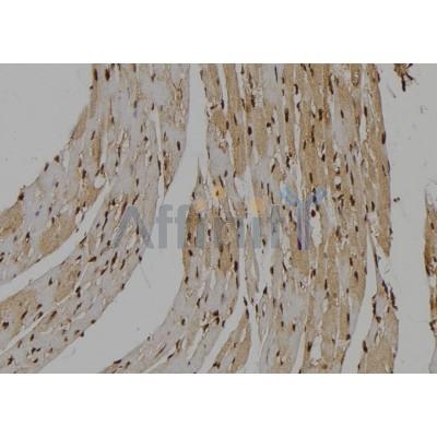 Валидация Affinity DF7243 - 18896