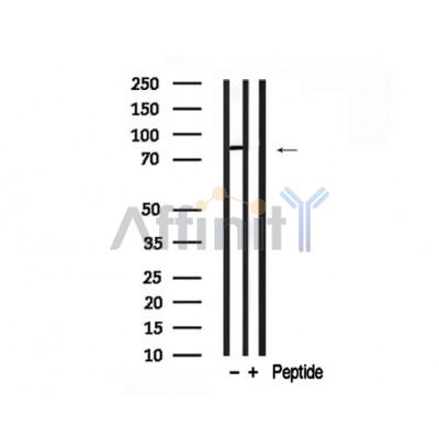 Валидация Affinity AF7725 - 4421