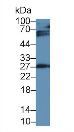 10478