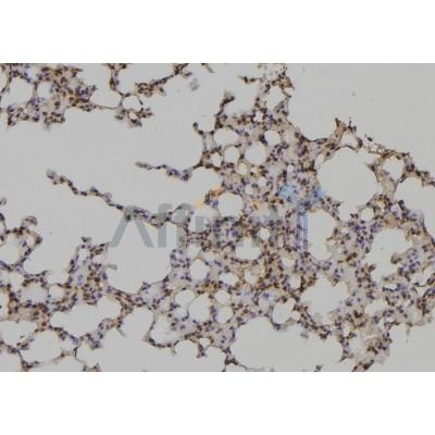 Валидация Affinity DF6693 - 18195