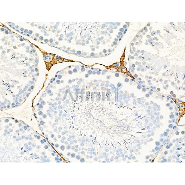 Валидация Affinity DF4419 - 15918