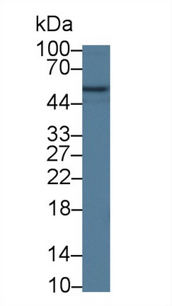 9583