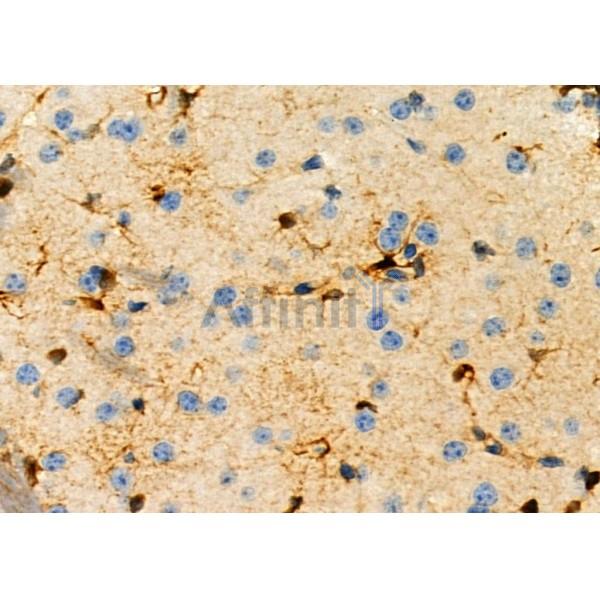 Валидация Affinity DF6474 - 17864