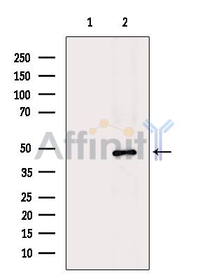 Валидация Affinity DF9457 - 22038