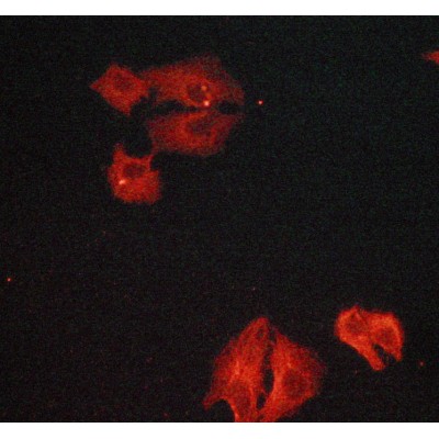 Валидация Affinity AF6206 - 3443