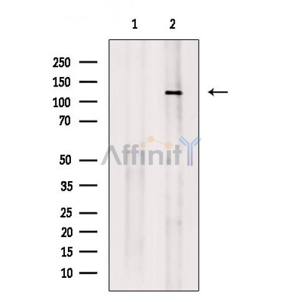 Валидация Affinity AF6880 - 4094