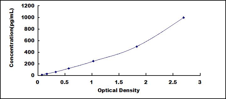 65079