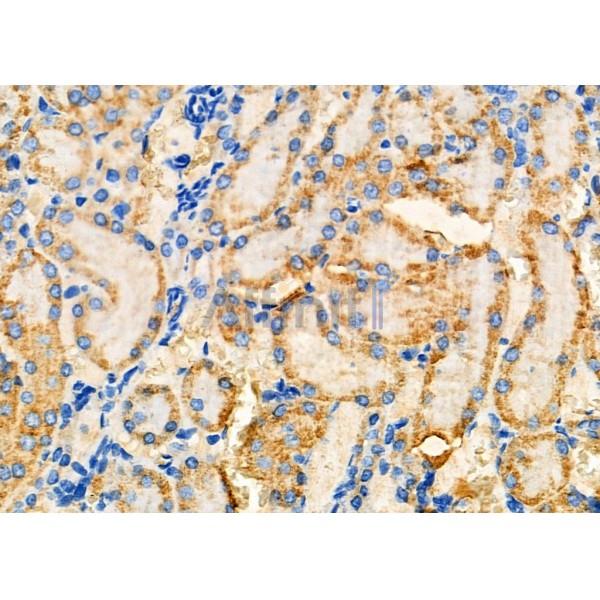 Валидация Affinity DF7280 - 18949