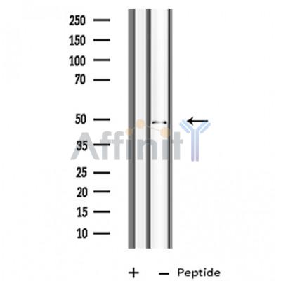 Валидация Affinity DF3604 - 14572