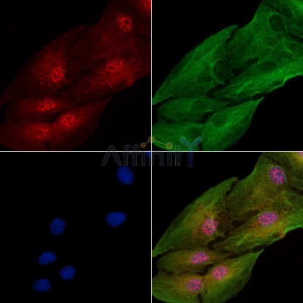 Валидация Affinity DF7918 - 19749