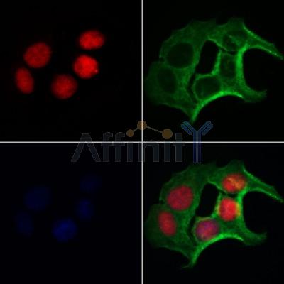 Валидация Affinity DF12608 - 7235