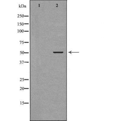 Валидация Affinity DF6489 - 17885