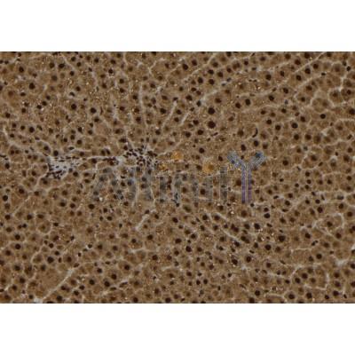 Валидация Affinity DF12127 - 6282