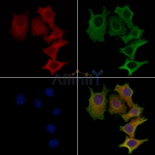 Валидация Affinity DF2296 - 12855