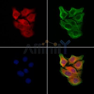 Валидация Affinity DF13248 - 8312