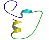 Neuropeptide Y Receptor Y1 (NPY1R) Neuropeptide Y Receptor Y1 (NPY1R)