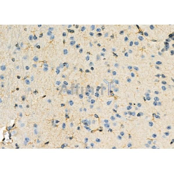 Валидация Affinity DF2936 - 13682