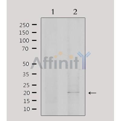 Валидация Affinity DF3489 - 14404