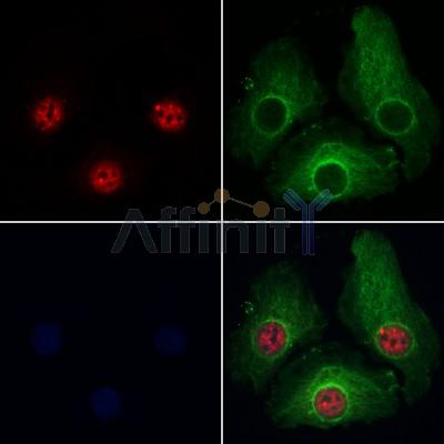 Валидация Affinity DF12707 - 7369