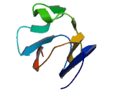 T-Cell Receptor Delta (TCRd)