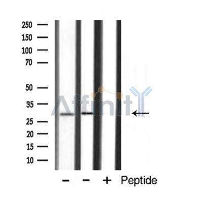 Валидация Affinity DF3781 - 14881