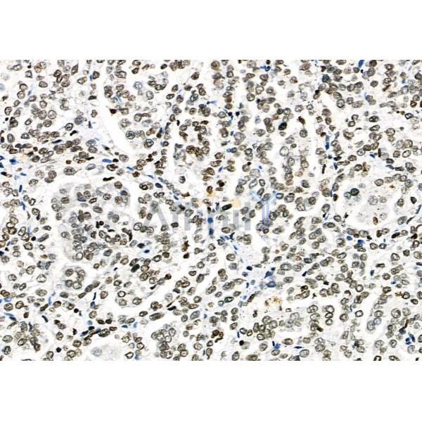 Валидация Affinity AF9027 - 4759