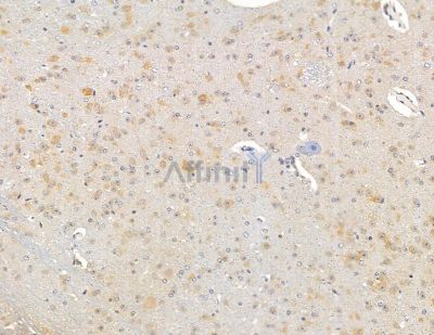 Валидация Affinity DF9889 - 22843