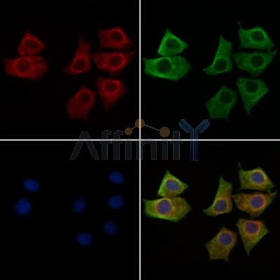 Валидация Affinity AF6097 - 3304