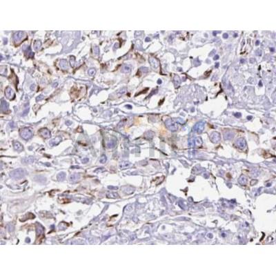 Валидация Affinity AF5119 - 2485