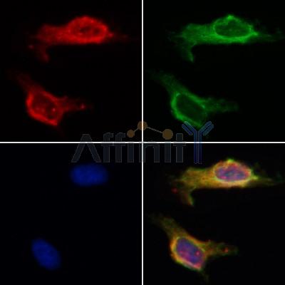 Валидация Affinity AF5360 - 2970