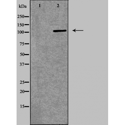 Валидация Affinity DF6135 - 17364