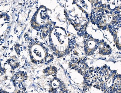 Валидация Affinity DF15265 - 11548