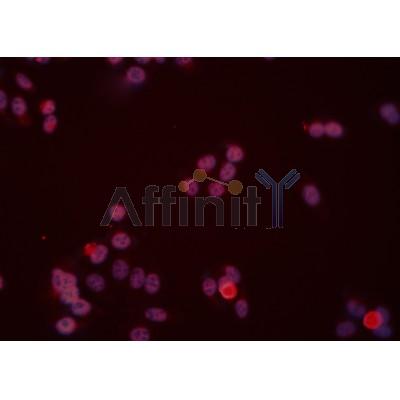 Валидация Affinity DF7228 - 18883